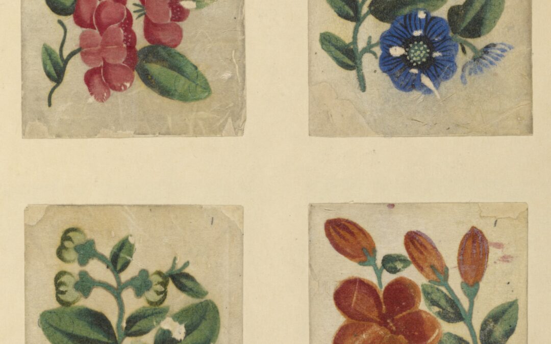 Tour of the Art in Bloom Exhibit at the NC Museum of Art